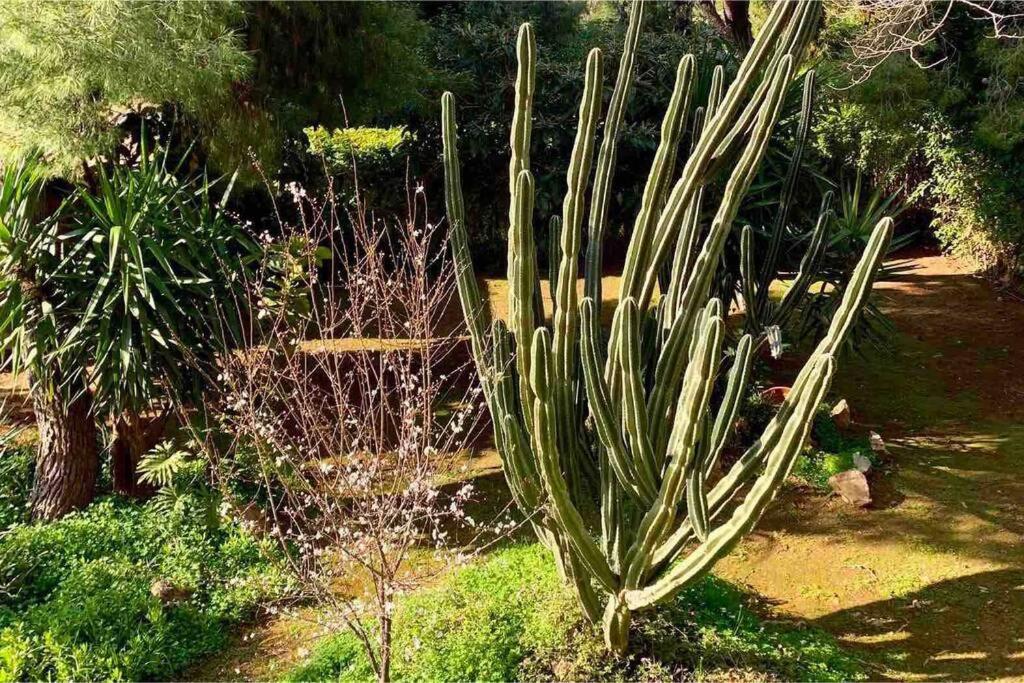 Athens Riviera Garden Views Apartment #Unoblu Exteriör bild